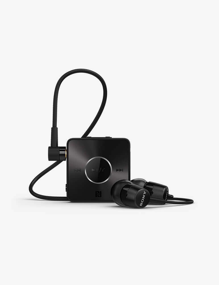 Phasellus Cursus Velit