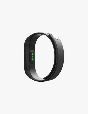 Phasellus Cursus Velit