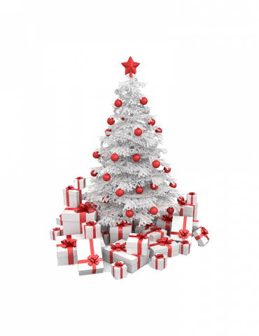 Nascetur Ridiculus Mus