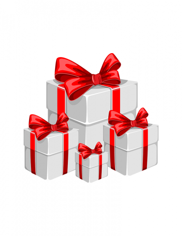 Phasellus Cursus Velit