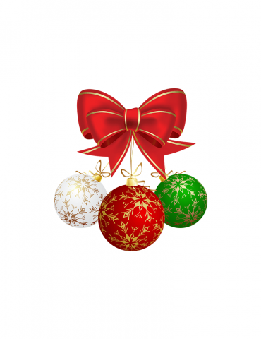 Phasellus Blandit Leo