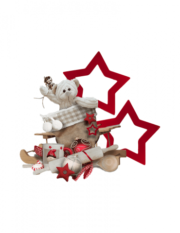 Vestibulum Suscipit Nulla