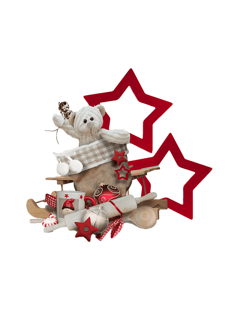 Vestibulum Suscipit Nulla