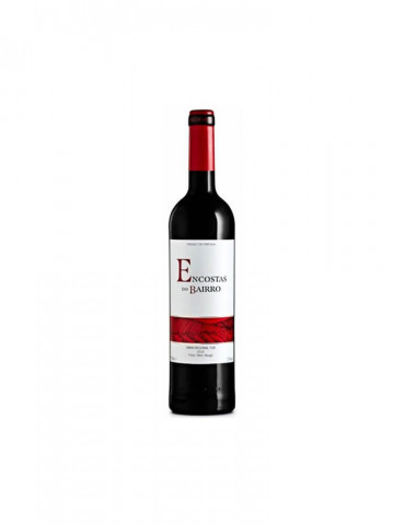 Vestibulum Nunc Augue