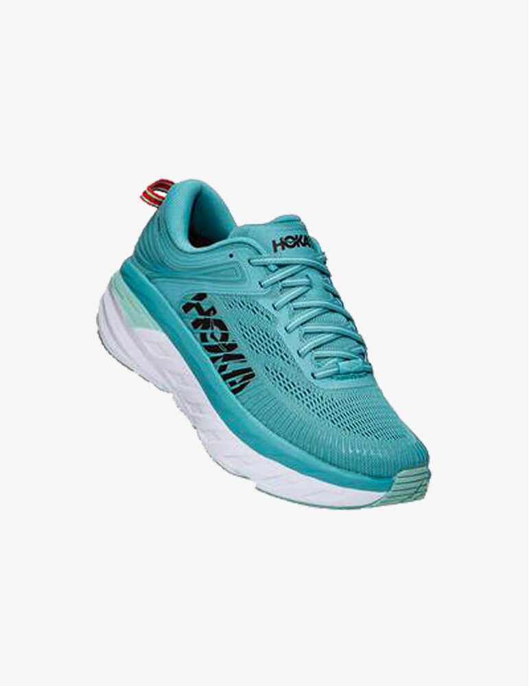 Vestibulum Nunc Augue