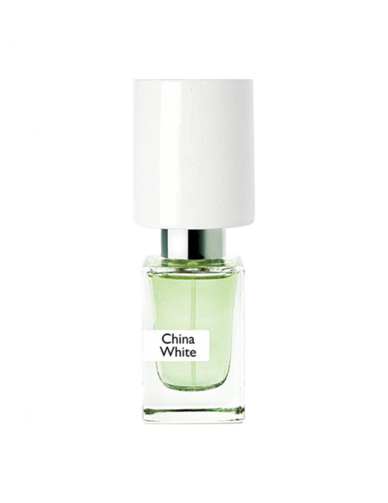 Phasellus Blandit Leo