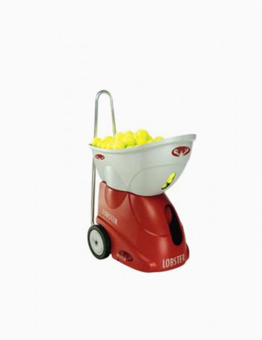 Donec Elit Libero