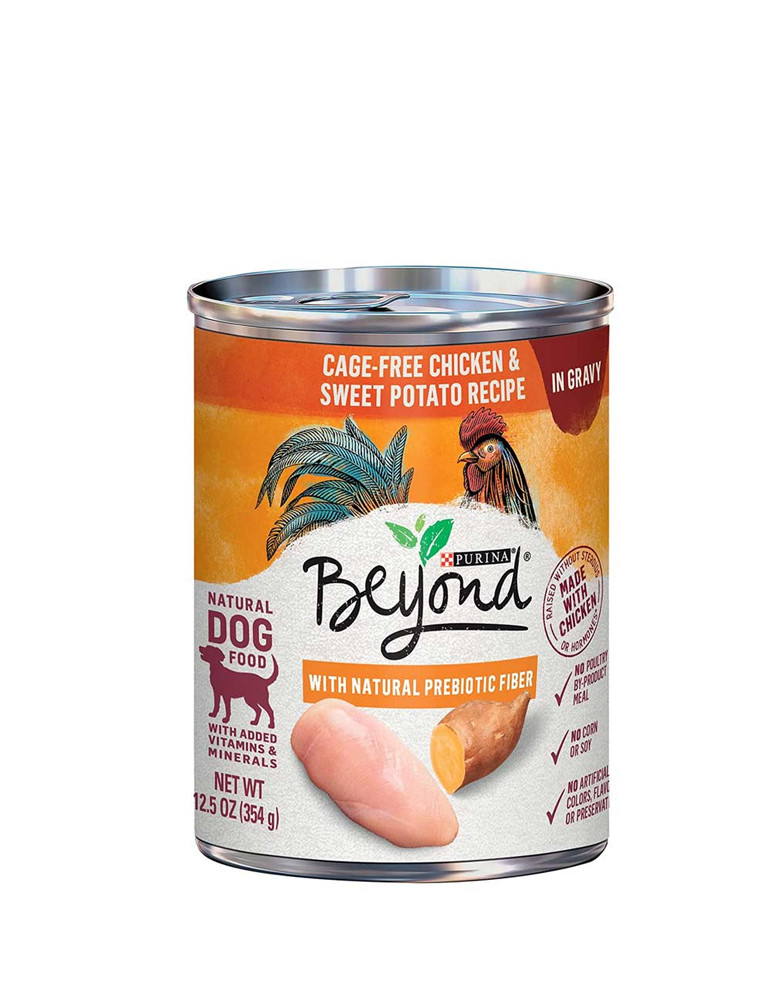 Vestibulum Nunc Augue