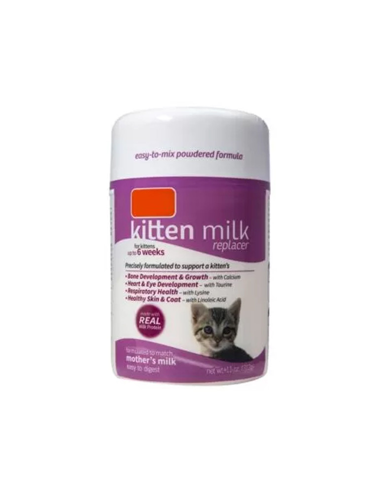 Praesent Metus Tellus