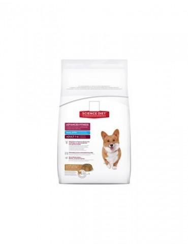 Nascetur Ridiculus Mus