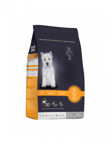 Nulla Consequat Massa