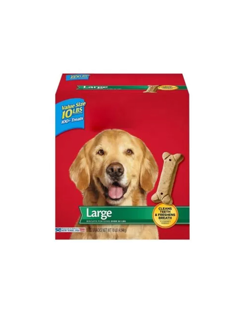 Vivamus Elementum Semper