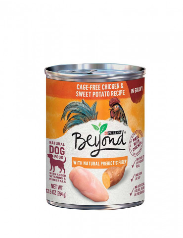 Phasellus Cursus Velit