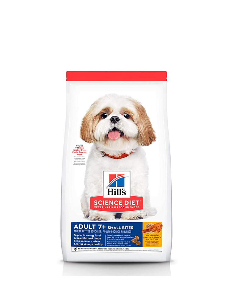 Justo Nulla Eleifend