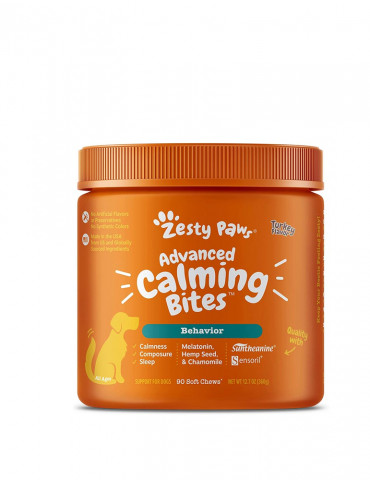 Justo Nulla Eleifend