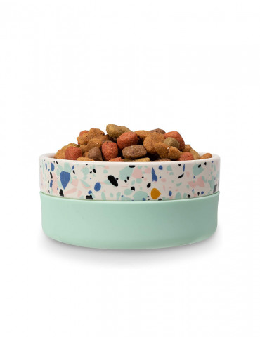 Phasellus Blandit Leo