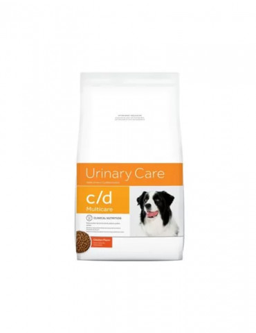 Vestibulum Nunc Augue