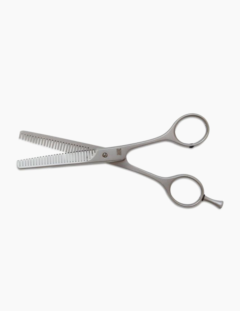 Vestibulum Suscipit Nulla