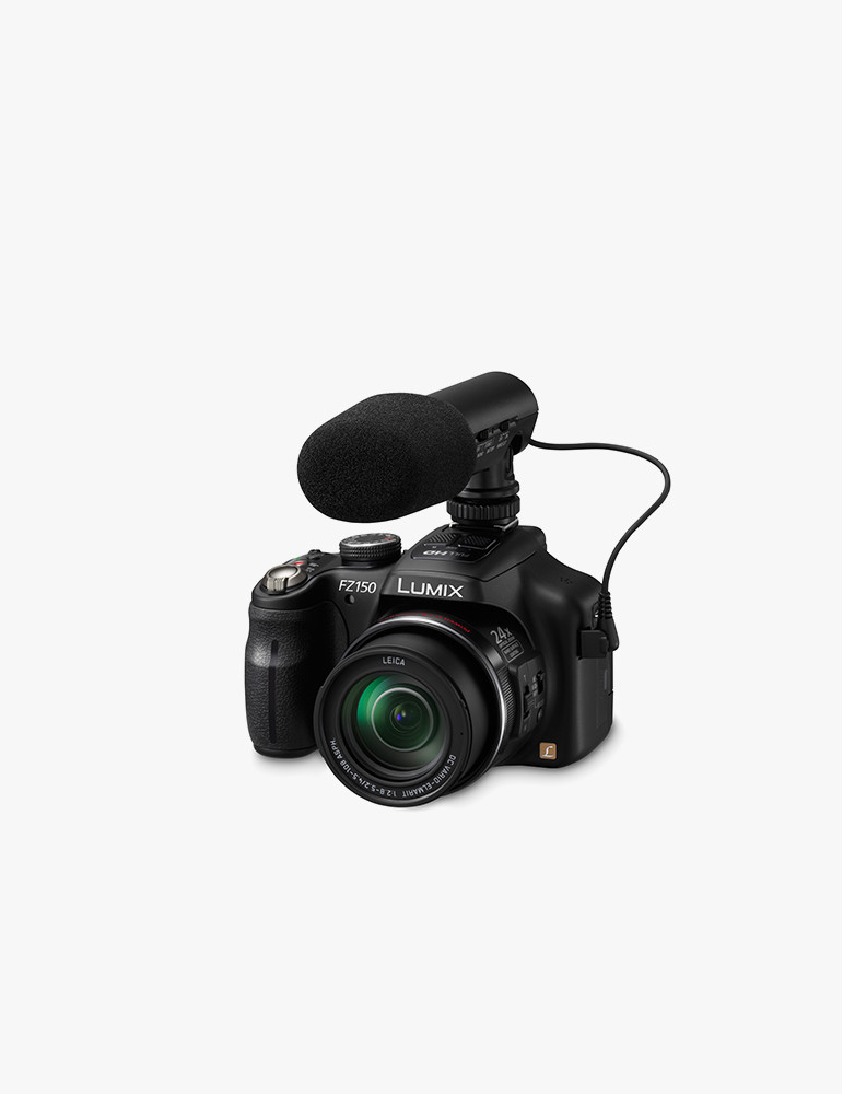 Justo Nulla Eleifend