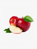 Phasellus Cursus Velit