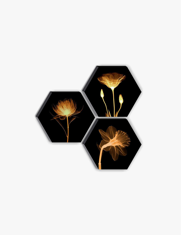 Nullam Accumsan Lorem