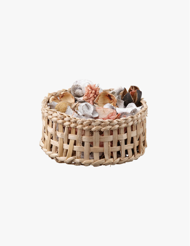 Praesent Metus Tellus