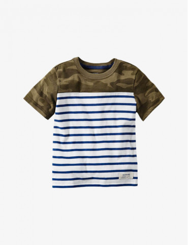 Vestibulum Suscipit Nulla