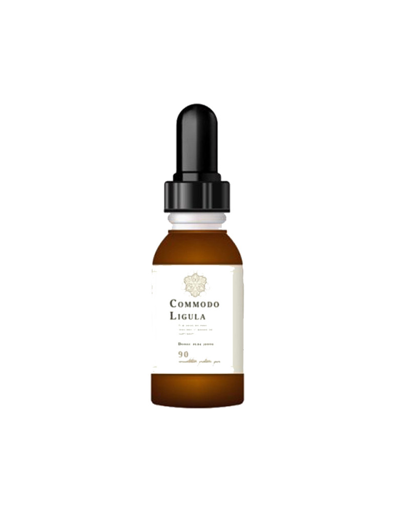 Phasellus Cursus Velit