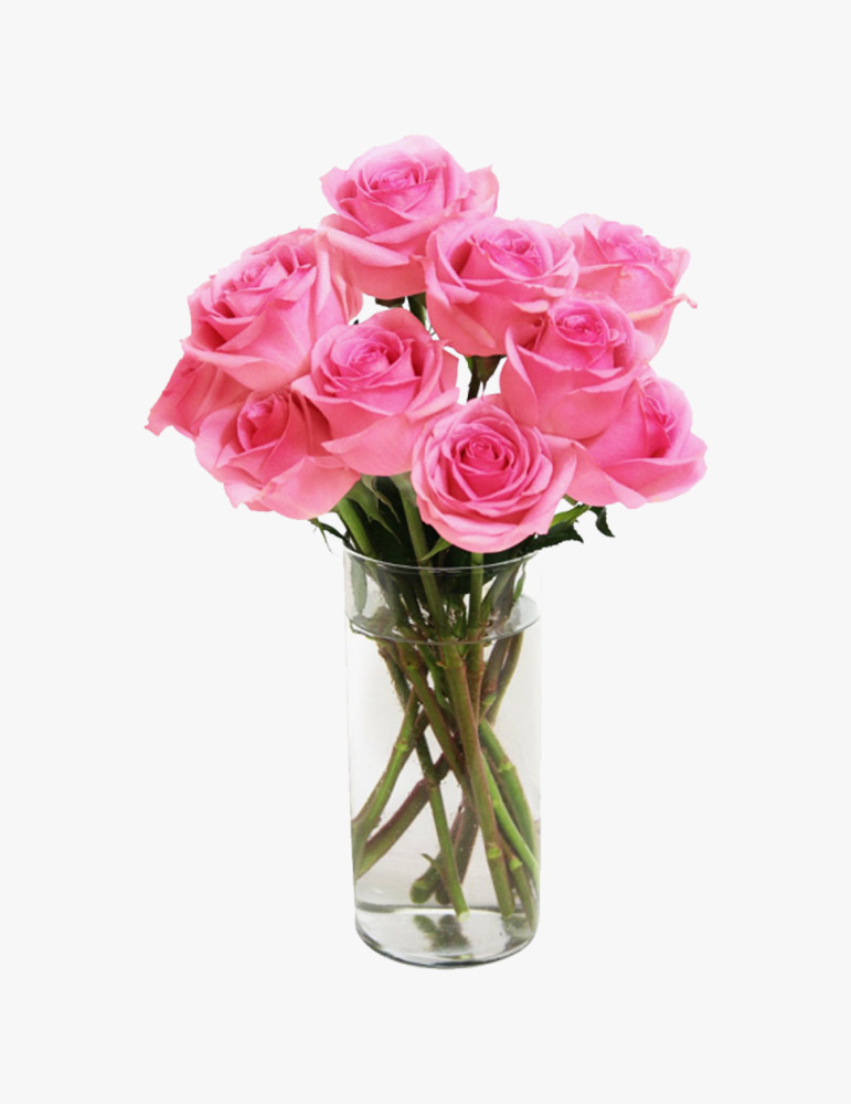 Vestibulum Nunc Augue